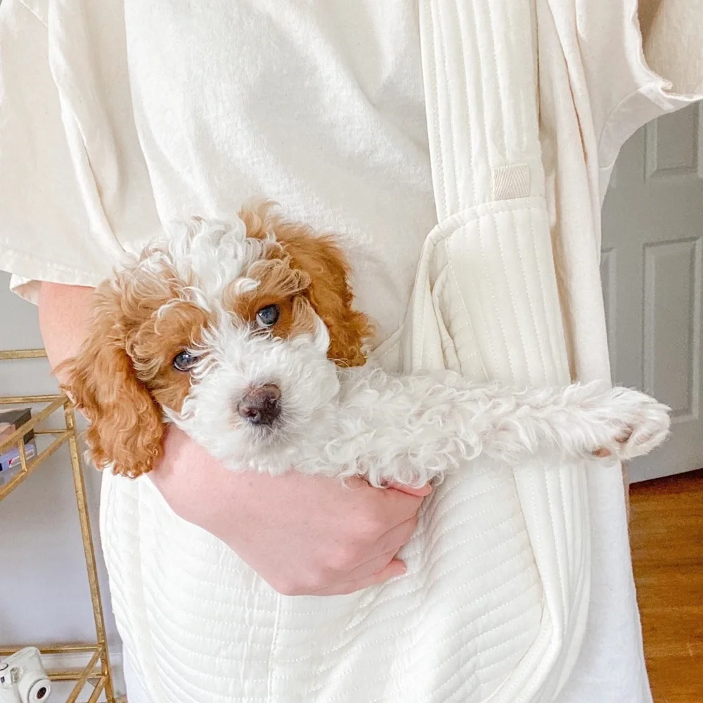 Cream Quilted Dog Carrier